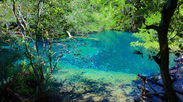 Indigenous Eyes Ecological Park near Hyatt Ziva Cap Cana featuring protected nature trails, freshwater lagoons, and lush tropical landscapes